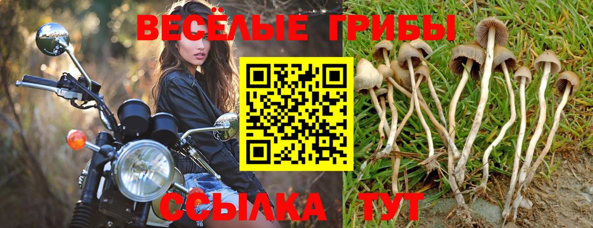 Псилоцибиновые грибы Cubensis  Псилоцибиновые грибы мицелий  Вход с VPN  Соликамск 