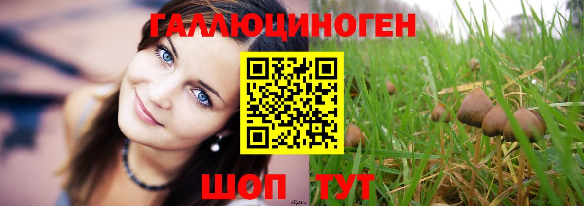 Галлюциногенные грибы Psilocybe Соликамск